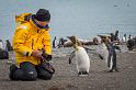 076 Zuid-Georgie, Gold Harbour, koningspinguins